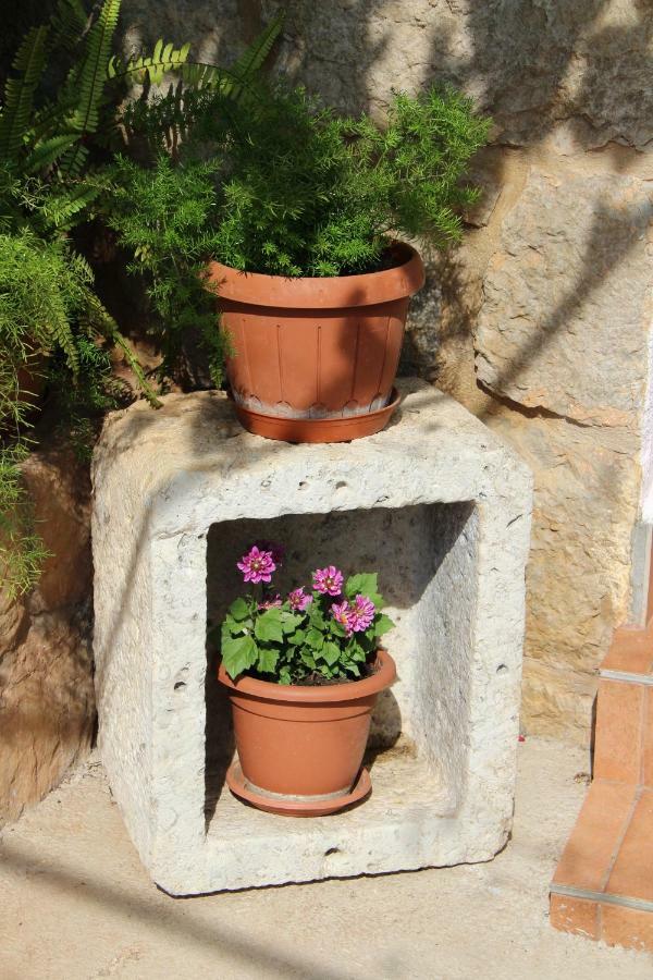 Apartmani Ivankovic Vrisnik Esterno foto